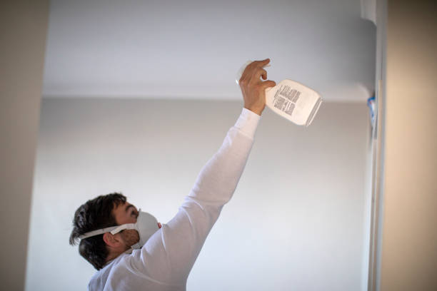 Best Commercial Mold Remediation in Duluth, WA